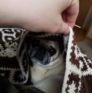 Meet your Posher, Yvonne